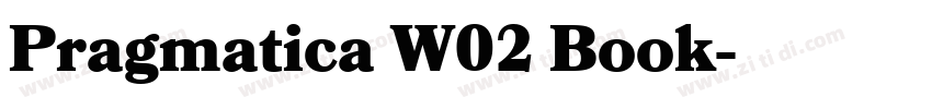 Pragmatica W02 Book字体转换